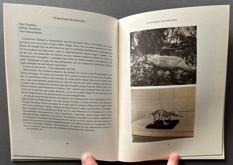 Fauna - Setanta Books