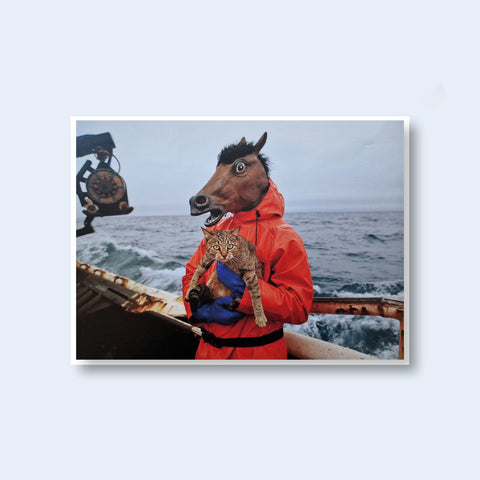 Fish - Work: The Bering Sea - Setanta Books