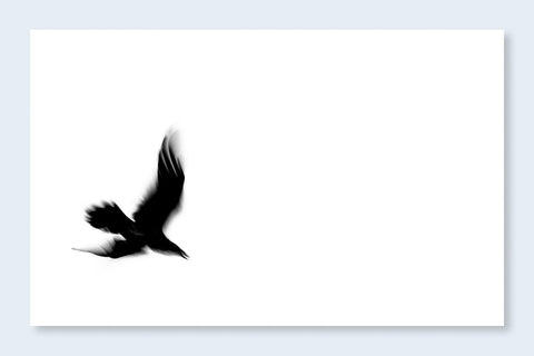 Fleeting Gestures - Setanta Books