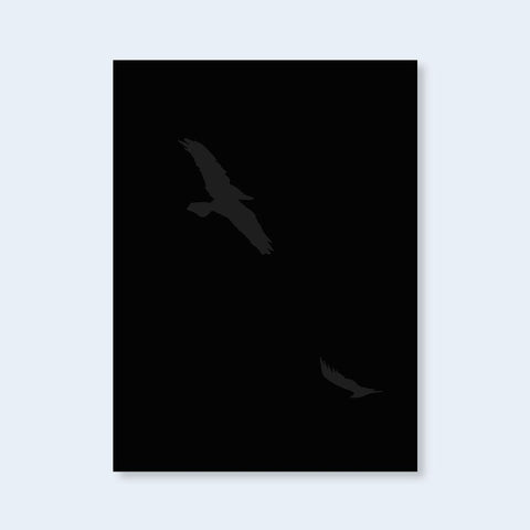 Fleeting Gestures - Setanta Books