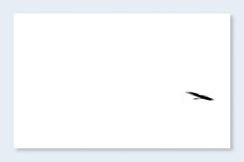 Fleeting Gestures - Setanta Books