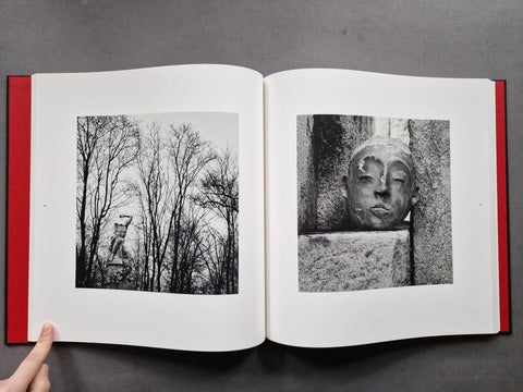 Flesh of stone - Setanta Books