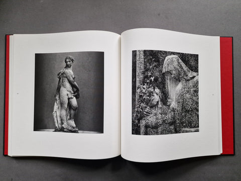 Flesh of stone - Setanta Books