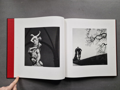 Flesh of stone - Setanta Books