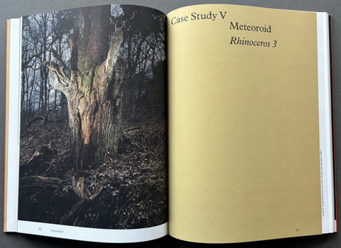 Floating Signifiers: Case studies on image, origin and representation - Setanta Books