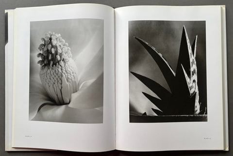 Flora - Setanta Books