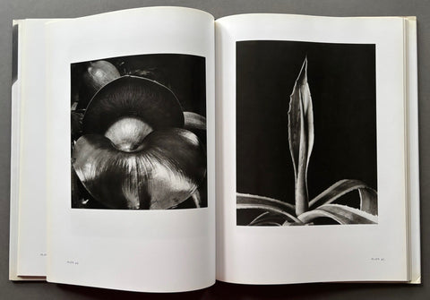 Flora - Setanta Books