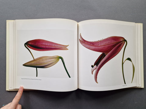 Flowers - Setanta Books