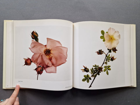 Flowers - Setanta Books