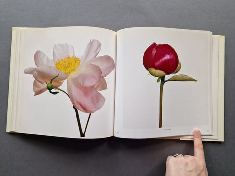 Flowers - Setanta Books