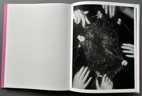 Flowers Drink the River - Setanta Books