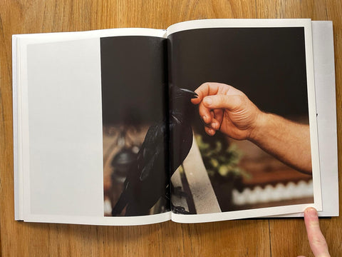 Folly - Setanta Books