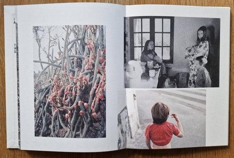 Forage - Setanta Books