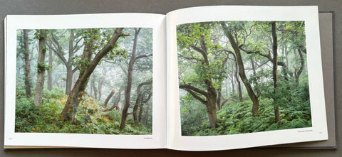 Gathering Time - Setanta Books