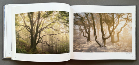 Gathering Time - Setanta Books