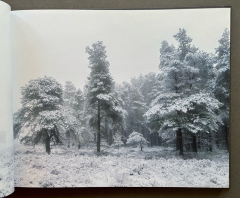 Gathering Time - Setanta Books