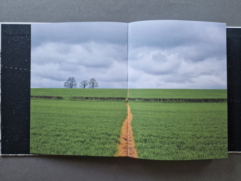 Go home Polish - Setanta Books