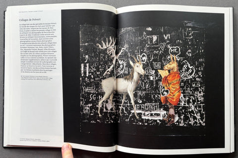 Graffiti: Le Langage Du Mur - Setanta Books