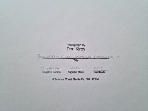 Grasslands (Special slipcased edition with print) - Setanta Books