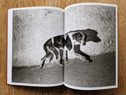 Haiti - Setanta Books
