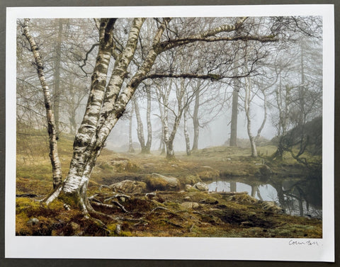 Healing - Setanta Books