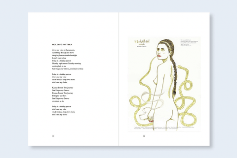 Hearing Voices - Setanta Books