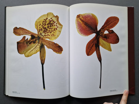 Herbrarium - Setanta Books