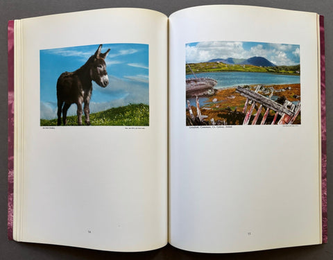 Hindesight - Setanta Books