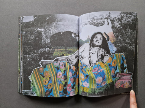 Hoja Santa - Setanta Books