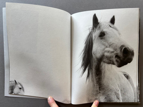 Horses - Setanta Books