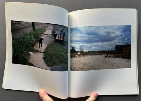 Horses and Dogs: Photographs by William Eggleston - Setanta Books