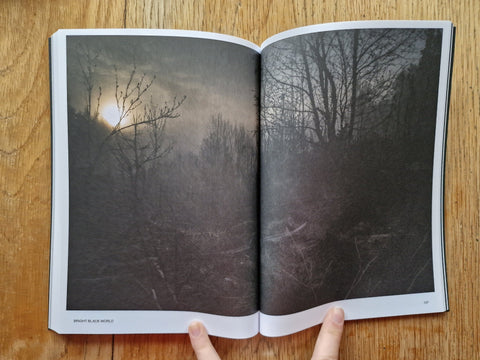 Hotshoe Issue 210: Todd Hido - Setanta Books
