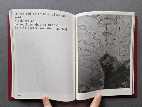 How To Make Jam - Setanta Books