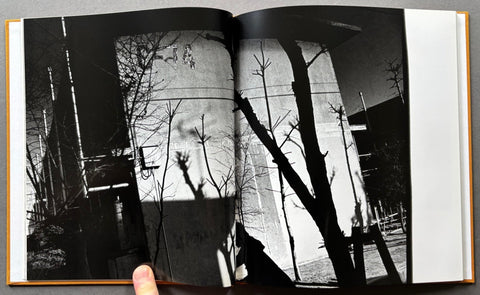 Hysteric Twelve - Setanta Books