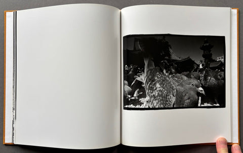 Hysteric Twelve - Setanta Books