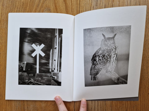 I Can Feel You Dreaming - Setanta Books