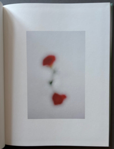 I Can't Draw a Painting - Setanta Books