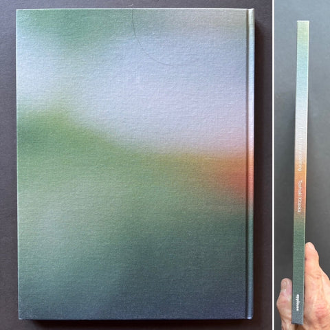 I Can't Draw a Painting - Setanta Books