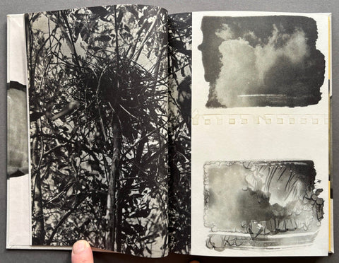 Icaro - Setanta Books