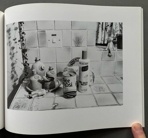 Ideal Home: A Detached Look At Modern Living - Setanta Books