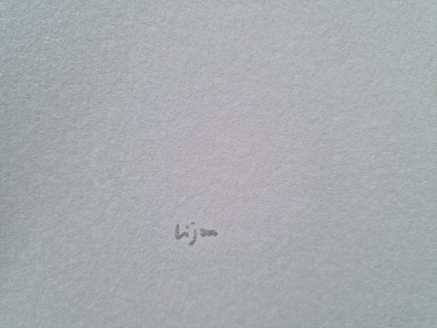 Impermanent Instant - Setanta Books
