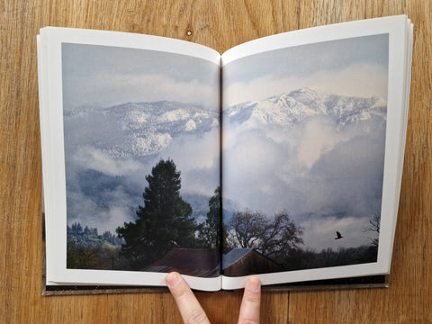 In The Vicinity - Setanta Books