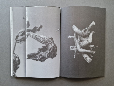 Index Naturae Revisited - AAVV - Setanta Books