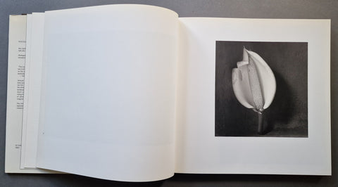 Inner Light: Still Lifes and Nudes - Setanta Books
