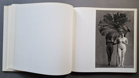Inner Light: Still Lifes and Nudes - Setanta Books