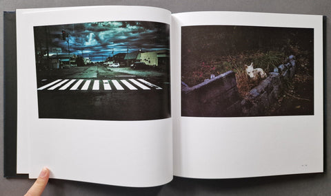 Into the Silence - Setanta Books