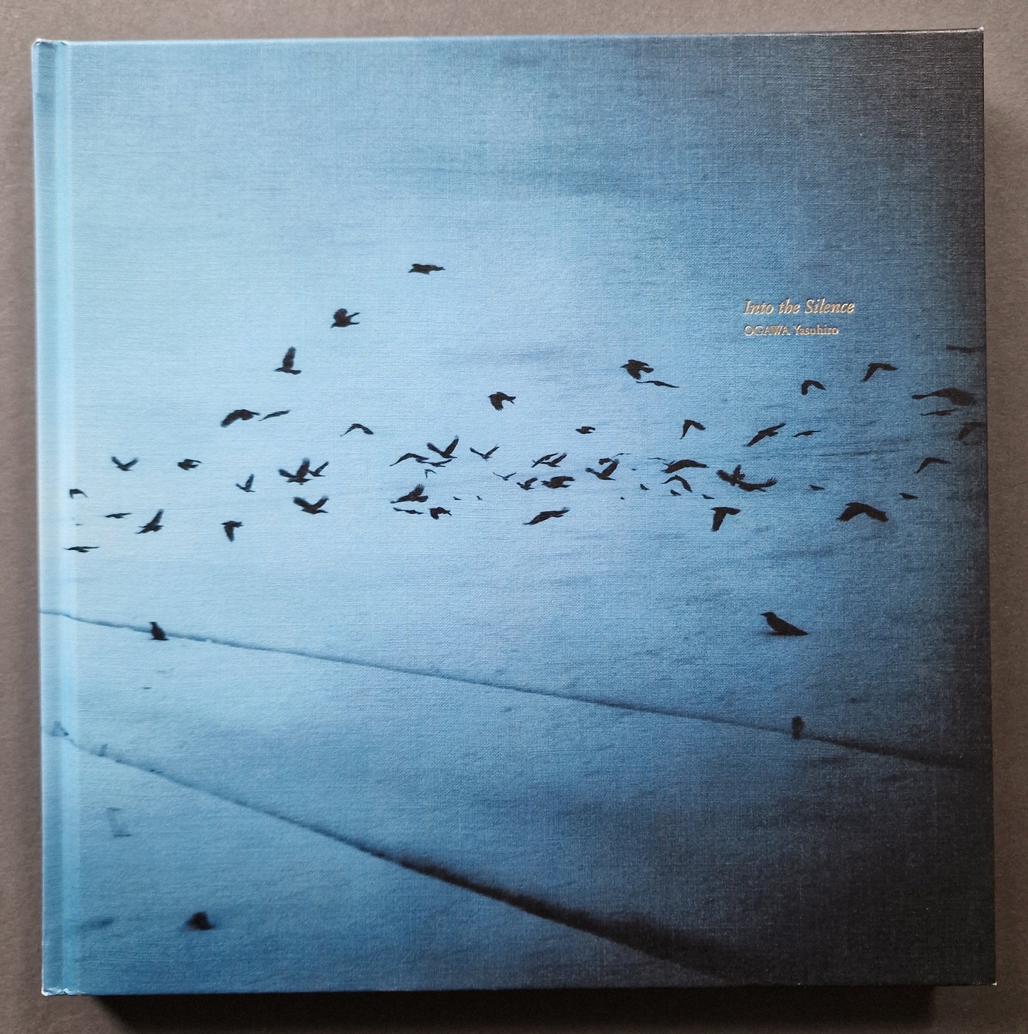 Buy Into the Silence by Yasuhiro Ogawa Online – Setanta Books