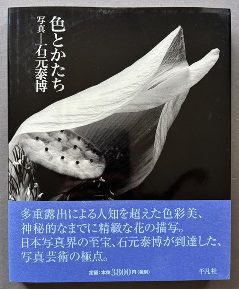 Iro To Katachi/Color and Form - Setanta Books