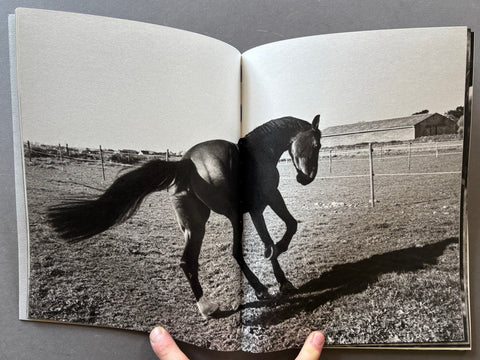 Horses