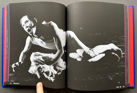Japan Art Revolution 1960 - 1979: The Japanese Avant - Garde from Angura to Provoke - Setanta Books